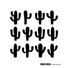 Planchitas- Mini Cactus