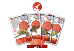 CARTAS REPTILES LUMINIAS en internet