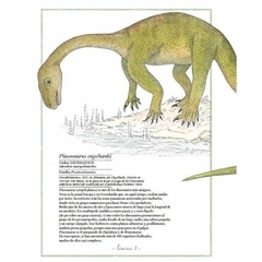 Inventario ilustrado de dinosaurios - Virginie Aladjidi - comprar online
