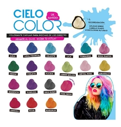 Tintura X6 Fantasia Cielo Color Otowil 47gr Coloración - Pelomania