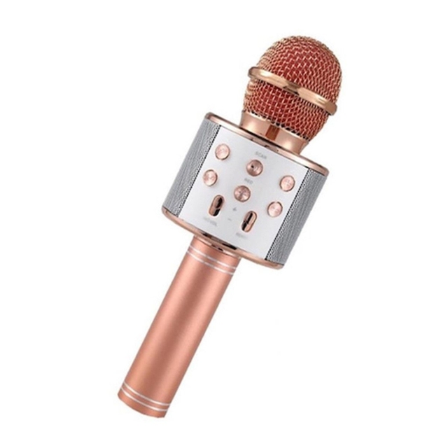 Altavoz inalámbrico para karaoke con micrófono