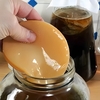 Scoby Para Kombucha Com cha de arranque Mais Manual De Cuidados Impresso