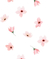 Papel de parede Floral rosa - Decoração infantil | Loja Printme