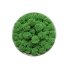 Pompom Malha Telinha Verde (1.5cm) - 10 unidades