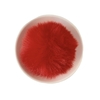 Pompom Pelinho Liso G Vermelho (7cm) 
