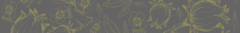 Banner da categoria MAXILLARIA