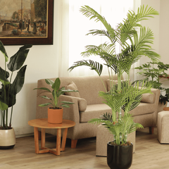 Palmera Tropical Biggy (Artificial)