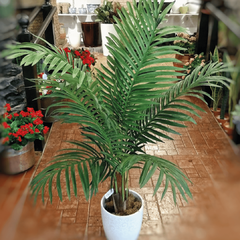 Areca Natural Touch (Artificial)