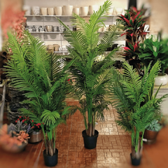 Areca Natural Touch (Artificial) - comprar online