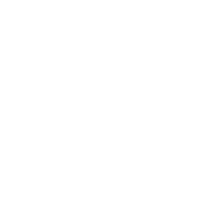 Ethical Bear