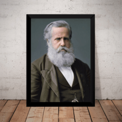 Quadro Imperador Pedro Ii Foto Colorida Monarquia Brasil