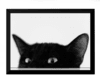 Lindo quadro decorativo minimalista gato curioso 42x29cm