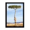 Lindo quadro decoração surreal a girafa na arvore 42x29