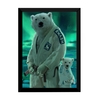 Quadro Jiu Jitsu Decoração Dojo Urso Polar Pai & Filho Arte