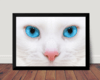 Quadro Decorativo Gato Branco Dos Olhos Azuis