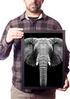 Quadro Decorativo Elefante Animal Poster Na Moldura
