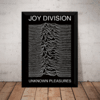 Quadro Joy Division Unknown Pleasures Arte Poster Moldurado