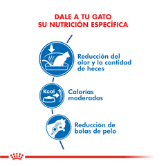 Alimento Royal Canin Indoor para Gatos Adultos - TotalPet