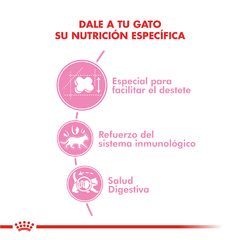 Alimento en Lata Mother & Baby Cat para Gatos x 195g en internet