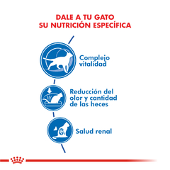 Alimento Royal Canin Indoor 7+ para Gatos Adultos - comprar online