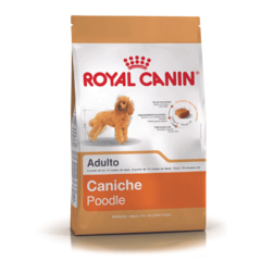 Alimento Royal Canin Caniche Junior para Perros Cachorros