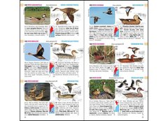 Aves de Argentina y Uruguay / Birds of Argentina & Uruguay - comprar online