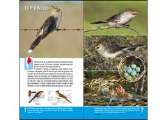 Aves de Argentina y Uruguay - Guía Básica de Identificación