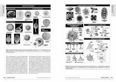 Los Invertebrados Fósiles - Tomos I y II - comprar online