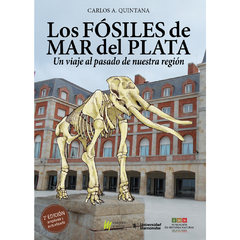 Los Fósiles de Mar del Plata. Un viaje al pasado de nuestra región.