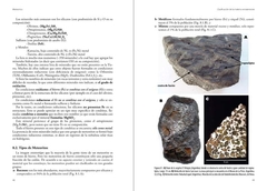 Meteoritos. Restos rocosos del Sistema Solar Primitivo. - tienda online