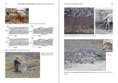 Guía terminológica de la Geocriología Sudamericana / Terminological Guide of the South American Geocryology