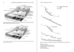 Imagen de Guía terminológica de la Geocriología Sudamericana / Terminological Guide of the South American Geocryology