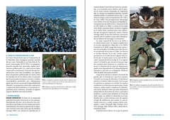 Pingüinos: Historia Natural y Conservación - tienda online