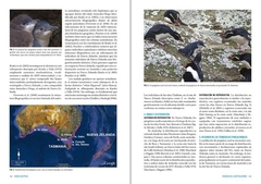 Pingüinos: Historia Natural y Conservación en internet