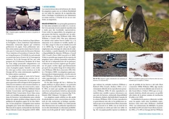 Pingüinos: Historia Natural y Conservación - comprar online