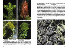 Imagen de Plantas de la Patagonia / Plants of Patagonia