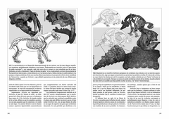 Vida en Evolución. La Historia Natural vista desde Sudamérica - comprar online