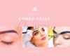 Mundo cejas pack de 2 cursos