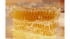 Miel en Panal Orgánica, 350grs - tienda online