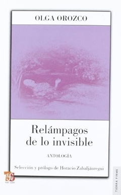 RELAMPAGOS DE LO INVISIBLE ANTOLOGIA (COLECCION TIERRA FIRME) DE OROZCO OLGA