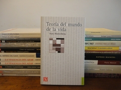 TEORIA DEL MUNDO DE LA VIDA (COLECCION FILOSOFIA) DE BLUMENBERG HANS