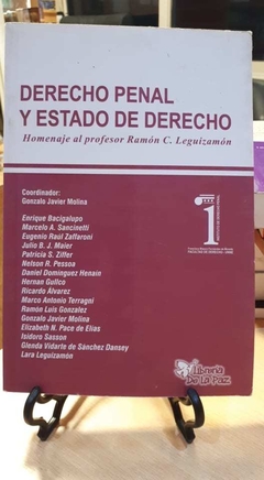 DERECHO PENAL Y ESTADO DE DERECHO - VV.AA