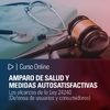 Curso Online: Amparo de salud y medidas autosatisfactivas. Los alcances de la Ley 24240