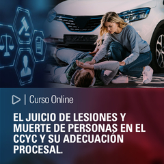 Curso online: El Juicio de Lesiones y Muerte de Personas en el CCyC y su Adecuación Procesal.