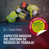 Curso Online: Aspectos básicos del Sistema de Riesgos de Trabajo