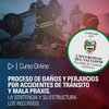 Curso Online: Proceso de daños y perjuicios por accidentes de tránsito y mala praxis II