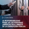 Curso online: La responsabilidad penal de las personas jurídicas en el ámbito de la corrupción pública. Análisis de la ley 27.401. Aspectos doctrinales, jurisprudenciales y Derecho comparado