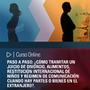 Curso online: Paso a Paso: ¿Cómo tramitar un juicio de divorcio, alimentos, restitución internacional de niños y régimen de comunicación cuando hay partes o bienes en el extranjero?