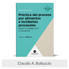 Libro: Práctica del proceso por alimentos e incidentes procesales