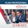 Suscripción al PLAN PROFESIONAL (12 meses) - comprar online